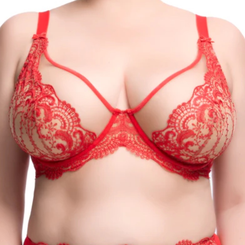 Dita Von Teese NWT 44DD Nom De Plume curve plunge bra